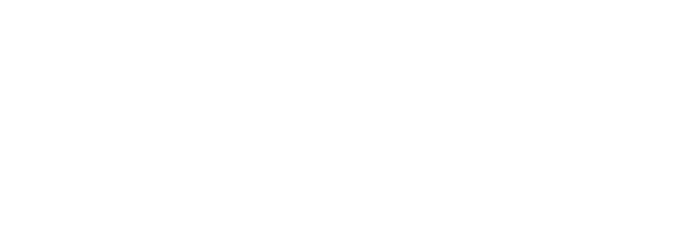 Wyn Venture Group